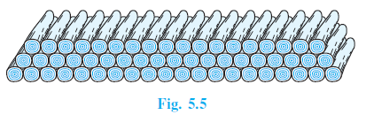 Page 114 Chapter 5 Class 10th Non-Rationalised NCERT 2019-20